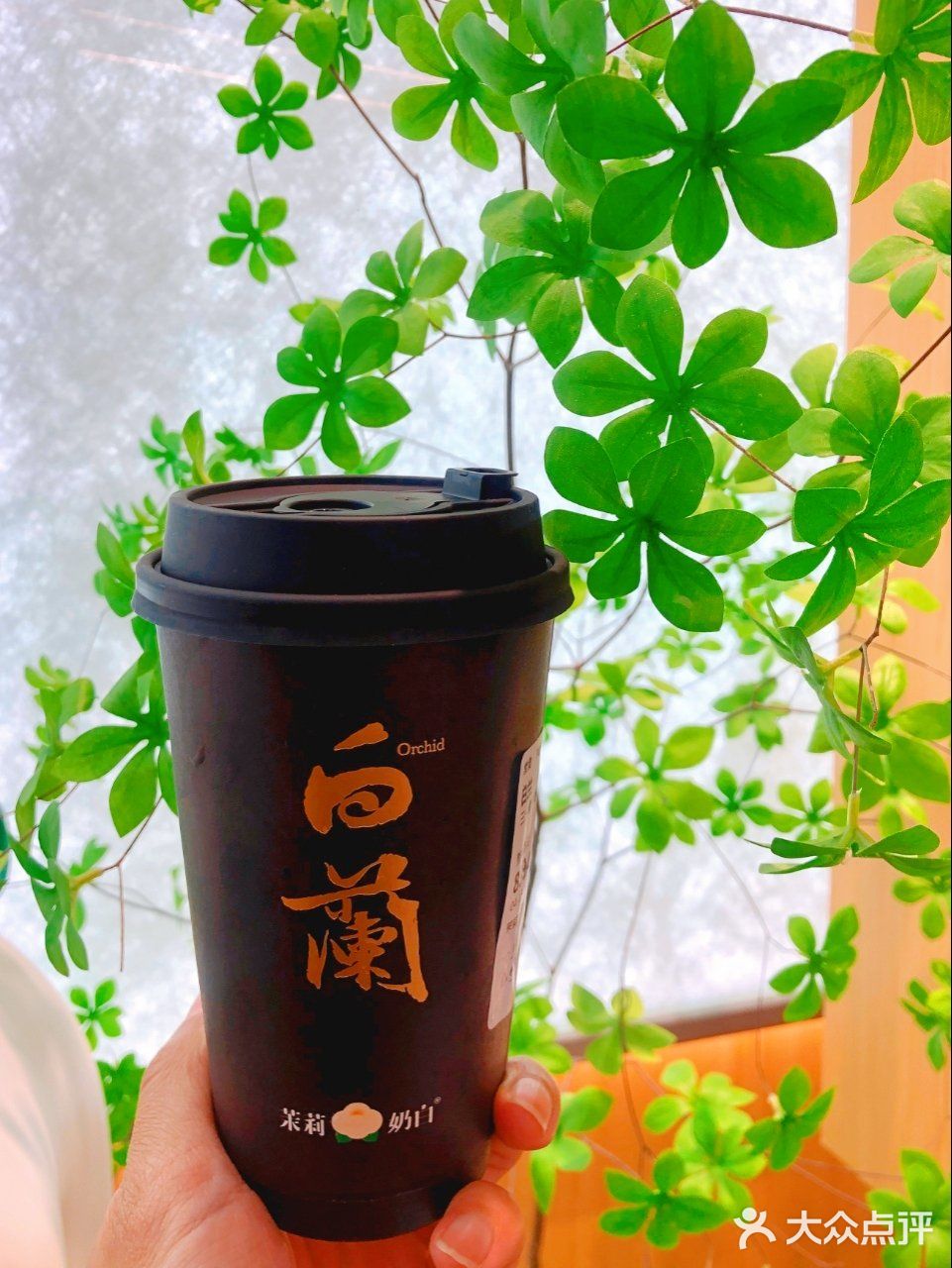 魔都又有了新奶茶，喝过一次就知道为什么火!