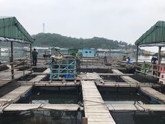 -海上驿站渔家菜馆