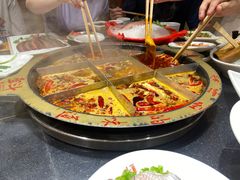 -一斗火锅·招财羊毛肚(北温泉九号店)