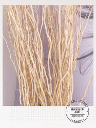 -锦尚名仕Hair Salon