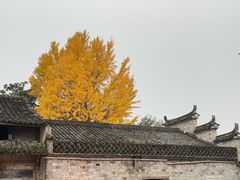 -皤滩古镇