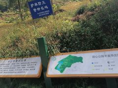 -田心森林公园