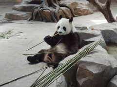 -宁波野生动物园