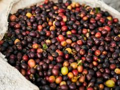 -Peet's Coffee皮爷咖啡(万象天地店)