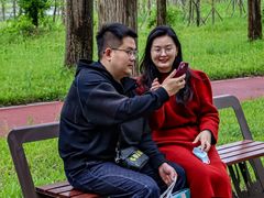 -黄海国家森林公园