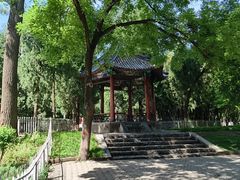 -保定市动物园