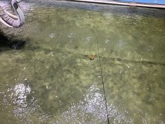 -光头佬钓虾场·烧烤·聚餐·亲子(金沙洲店)