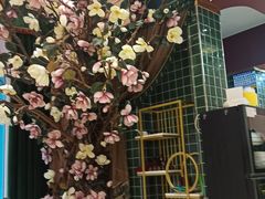 -知粤塘港式茶餐厅