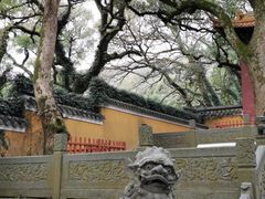 -普陀山风景名胜区-法雨禅寺