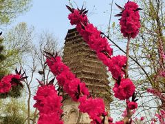 -玲珑塔公园