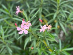 -南越王博物院(王宫展区)