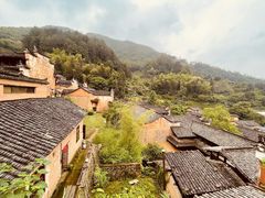 -杨家堂村