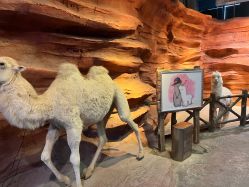 -酷嗒动物文化乐园(cutezoo西溪乐天城店)