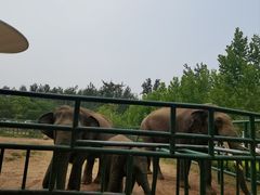 -秦皇岛野生动物园