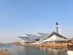 -盐城丹顶鹤湿地生态旅游区