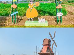 -杭州湾海上花田景区