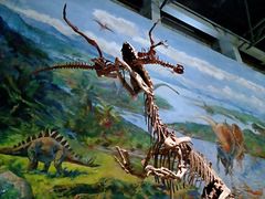 -自贡恐龙博物馆