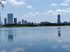 -金银湖国家城市湿地公园