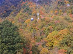 -光雾山旅游景区
