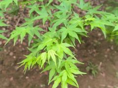 -敬亭山风景名胜区