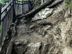 -王顺山国家森林公园