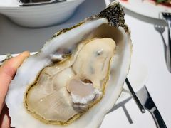 -Oyster Talks 四度蚝法餐厅
