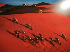 -罗红摄影艺术馆