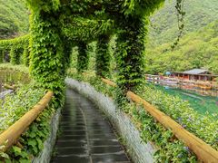 -郧西五龙河风景区
