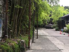 -黄桷坪涂鸦艺术街