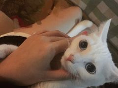 -赢吧Bliss音乐酒吧