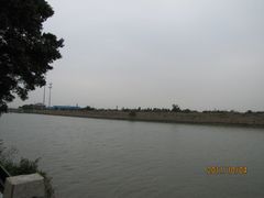 -大湾区中央湿地公园