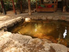 -厦门日月谷温泉渡假村