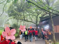 -普陀山慧济禅寺
