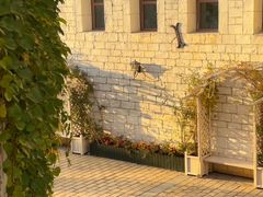 -华谊兄弟（长沙）电影小镇