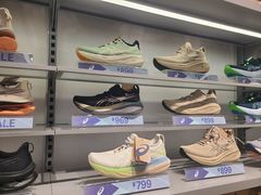 -光明小镇欢乐田园