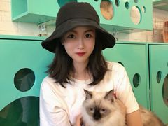 -萌喵咖啡屋(人民东路4号口M16商铺店)
