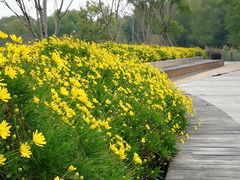 -昆山城市生态森林公园
