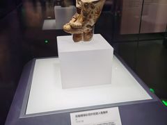 -四川大学博物馆