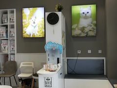 -关爱宠物医院·猫科中心·消化科(滨湖万达分院)