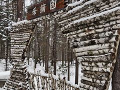 -峡谷浮石林景区