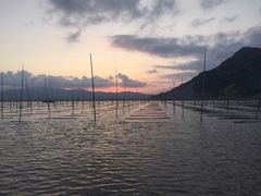 -北岐滩涂