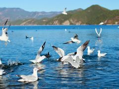 -丽江泸沽湖景区