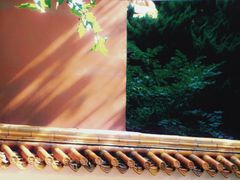 -长颈鹿咖啡(大学路店)