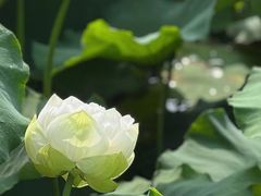-黄兴公园