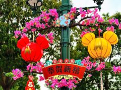 -上海迪士尼度假区