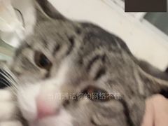 -瑞派新吉太郎宠物医院·重症转诊中心·泌尿道(嘉禾望岗院)