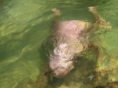 -天山海世界·米立方
