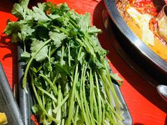 -谭鸭血老火锅(万象九宜城店)
