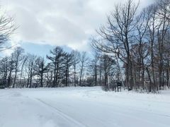 -北海道厅旧本厅舍(旧本庁舎)