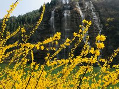 -黄花溪